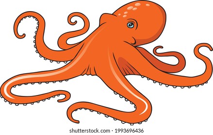  octopus vector illustration isolated on white background.Animals top view