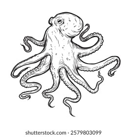 Octopus vector illustration. Octopus tentacles reaching upwards, squid-like marine animal body parts protruding from out of frame, cut for food or frame design, cartoon sketch vector illustration. 