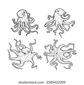 Octopus vector illustration. Octopus tentacles reaching upwards, squid-like marine animal body parts protruding from out of frame, cut for food or frame design, cartoon sketch vector illustration. 