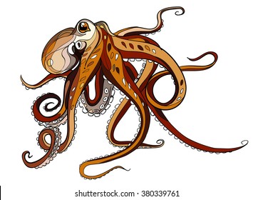 octopus vector image