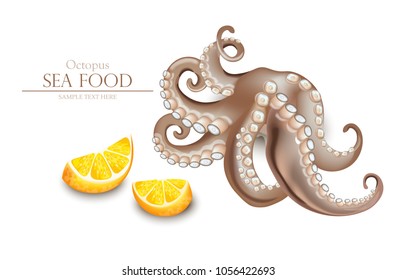 Octopus Vector realistic isolated on white. 3d detailed illustrations