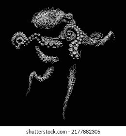 ilustración de esbozo de vector de pulpo, arte de garabatos