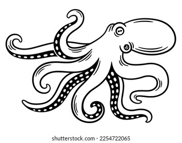 Octopus vintage engraving, black and white drawing. Isolated vector illustration.