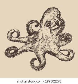 Octopus vintage illustration, engraved retro style, hand drawn, sketch