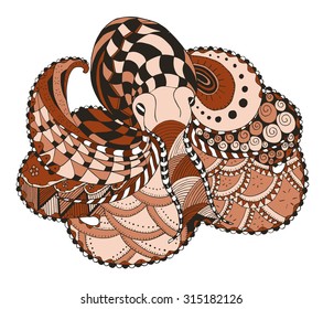 Octopus zentangle stylized, vector, illustration, freehand pencil, hand drawn, pattern