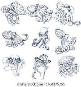 octopuses and jellyfish , marine set,isolated on white background , vector,hand drawing