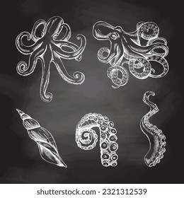 Octopuses, octopus tentacles, seashell vector set. Hand drawn white sketch illustration. Collection of realistic ocean creatures  isolated on chalkboard  background.