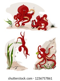 Octopuses with pump