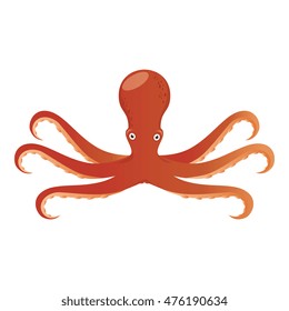 octupus sea animal marine seafood nature vector illustration