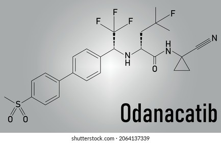 Odanacatib drug molecule. Investigational treatment for osteoporosis and bone metastasis. Inhibitor of cathepsin K. Skeletal formula.