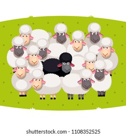 50,061 Group of sheep Images, Stock Photos & Vectors | Shutterstock