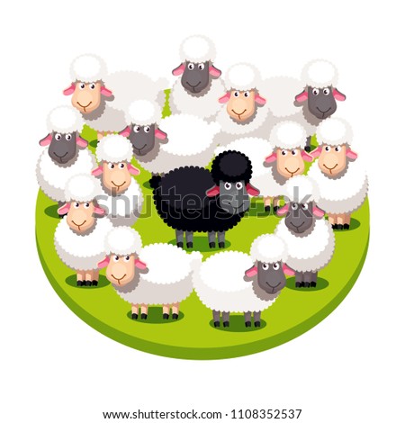 Odd one special black sheep standing among many white sheeps on summer lawn. Cartoon farm animals clipart. Sheep group protecting black. Domestic animals. Flat style vector isolated illustration
