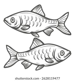 Odessa Barb Fish Ilustração, dois peixes contornados
