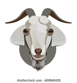 Off white goat head with horns ffloppy ears long snout smile and a beard