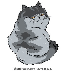Offended cat staring isolated on withe