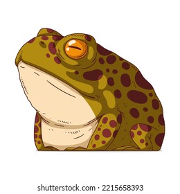 An Offended Frog, isolated vector illustration. Cartoon picture of a serious proud toad sitting. Drawn animal sticker. Simple drawing of a resented frog on white background. An upset amphibian