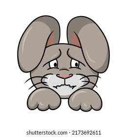 Offended, sad rabbit, animal emotions, dissatisfied hare, vector illustration in cartoon style on a white background