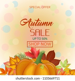 Offer with a background bokeh. Autumn sale with leaves and pumpkin. Template for posters, postcards, announcements
