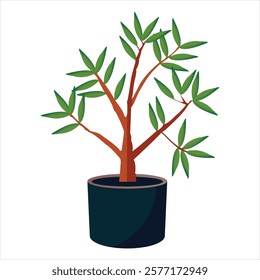 Office or Home Interior Decorative Plant Vector Illustration