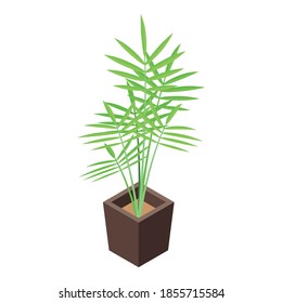 Icono de la olla de la palmera de Office. Isométrico del icono vectorial de la olla de palmera de la oficina para el diseño web aislado en fondo blanco