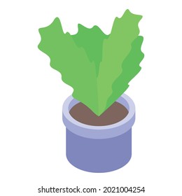 Office plant pot icon. Isometric of office plant pot vector icon for web design isolated on white background