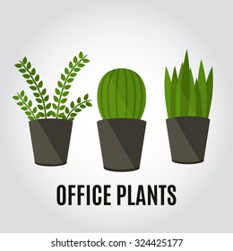 Office plants and flowers. Flat design style. Set of office plants in flat colors. Element of office design.