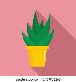 Office succulent pot icon. Flat illustration of office succulent pot vector icon for web design