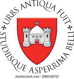 Offizielles Wappen, Vektorgrafik der irischen Hauptstadt Limerick, Irland