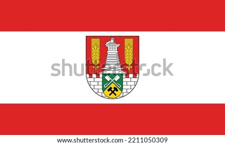 Official flag vector illustration of the German regional capital city of SALZGITTER, GERMANY