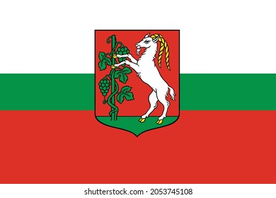 Official flag vector illustration of the Polish regional capital city of Lublin, Poland