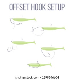 Offset hook and soft plastic bait fishing  setup step-by-step scheme