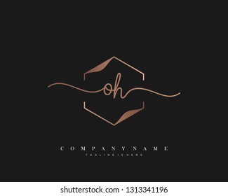 OH initial handwriting logo template vector