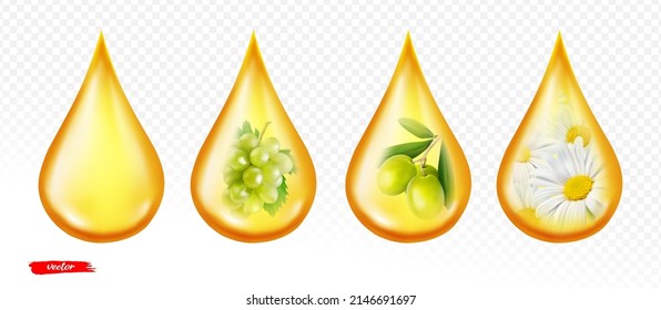 La caída de petróleo se aísla sobre un fondo transparente. Uva y aceite de oliva. Ilustración vectorial realista de la caída de aceite de camomila.