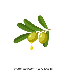 Oil drop on branch with green olives. Vector illustration of cartoon flat icon isolated on white background.