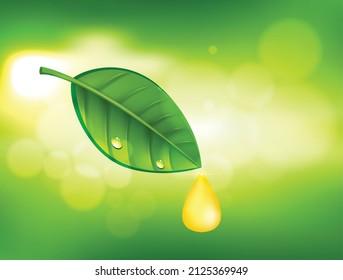 oil drop on the leave abstract vector illustration