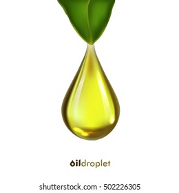 Oil drop, vector icon with leaf