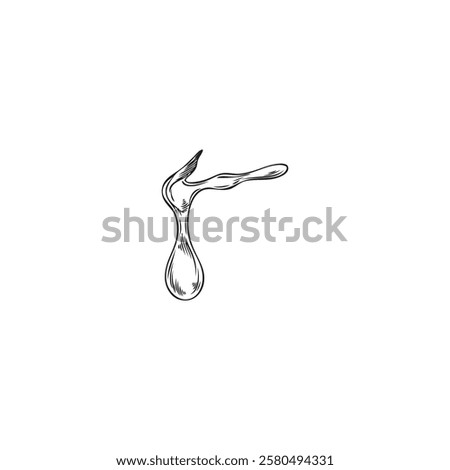 Oil drops engraved sketch vector illustration. Liquid oil, dripping natural argan essence. Hand drawn organic cosmetic or medical extract. Falling honey or syrup drop, water or fuel fluid ink style
