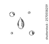Oil Drops Graphic Sketch. Hand drawn Vector illustration on a white background. Line art for product, cosmetic and cuisine design.