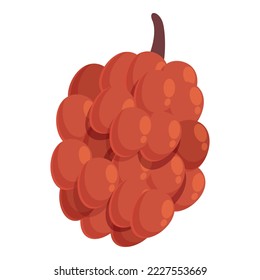 Oil fruit icon cartoon vector. Palm food. Drop extract