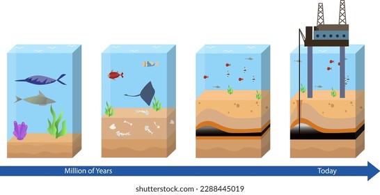 Oil and Gas Formation vector illustration, oil and gas formation step by step diagram, oil and gas industry in the ocean, Formation of petroleum