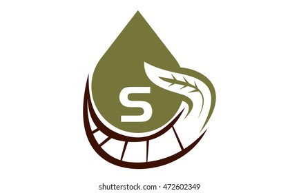 Oil Olive Nature Leaf Initial S