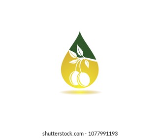 Oil olive vector icon