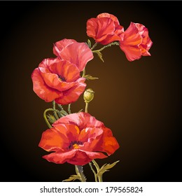 Oil painting. Card with poppies flowers on dark background.