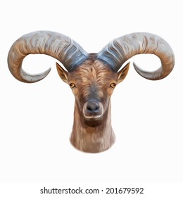 Oil painting style portrait of a mountain goat male, isolated on white background. Big rounded horns of wild hoofed animal. Vector illustration