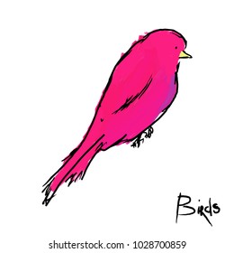Oil painting vector illustration of  bird. Hand-drawn design for print, postcard, wrapping, invitations.