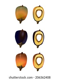 Oil Palm