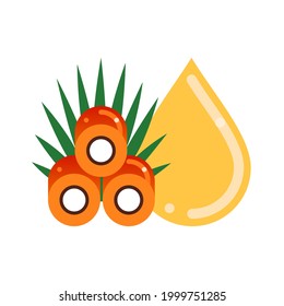 Oil palm fruits sliced and oil drop. Palm oil. Flat vector illustration isolated on white background.