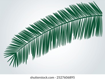 öl palmenblatt datum palmenblatt grün natur kreative idee für umwelt palme sonntag isoliertes bild