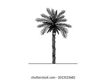 Oil palm tree sketch vector design for making oil