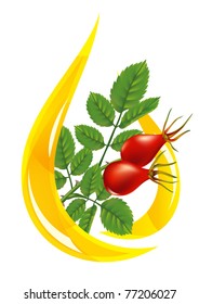 Oil rose hips. Stylized drop and twig with fruits.